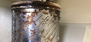 洗濯機分解クリーニング